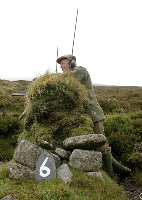 Ralia estate: Grouse shooting in Inverness-shire