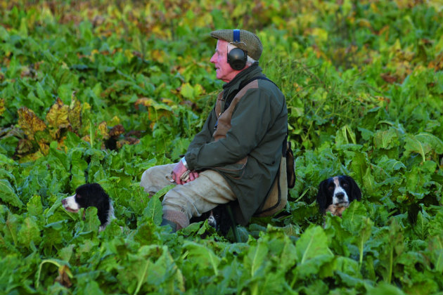 A September challenge for the picker-up
