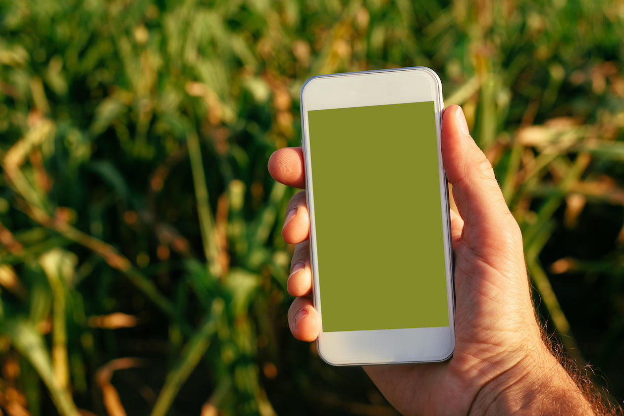 Poacher caught out by incriminating WhatsApp messages