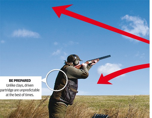 Partridge shooting clay practice