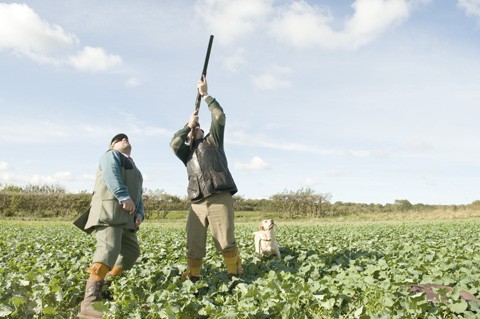 Partridge shooting at Kelling Hall, Norfolk