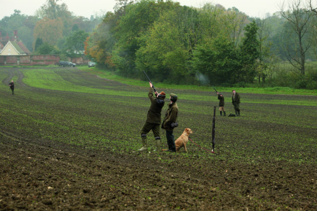 Young Shots and high pheasants 