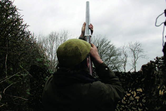 shooting pigeon