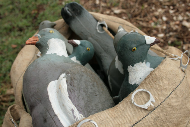 Pigeon decoys