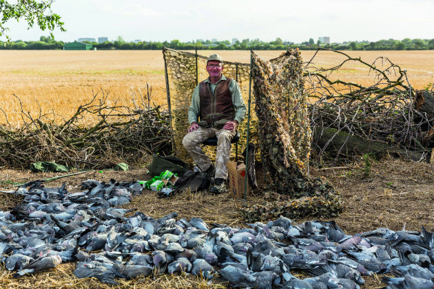 Pigeon shooting days 