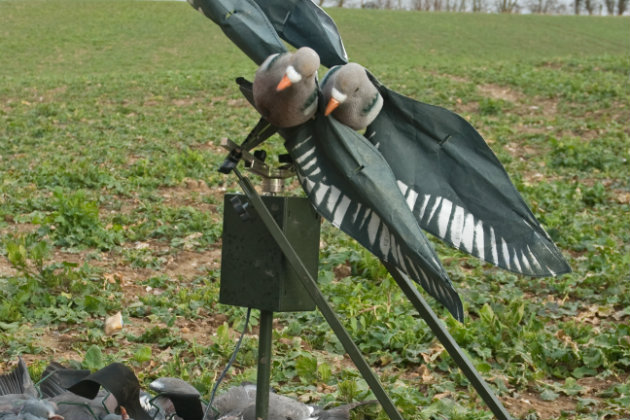 rotary pigeon machine