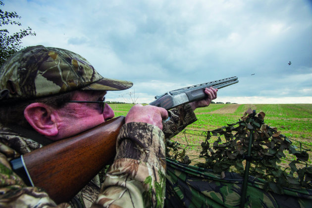 pigeon shooting