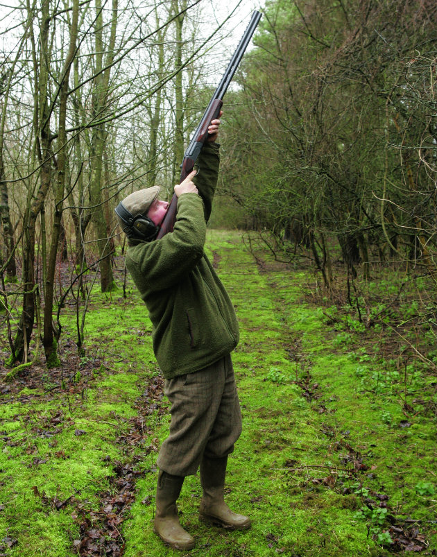 roost shooting 