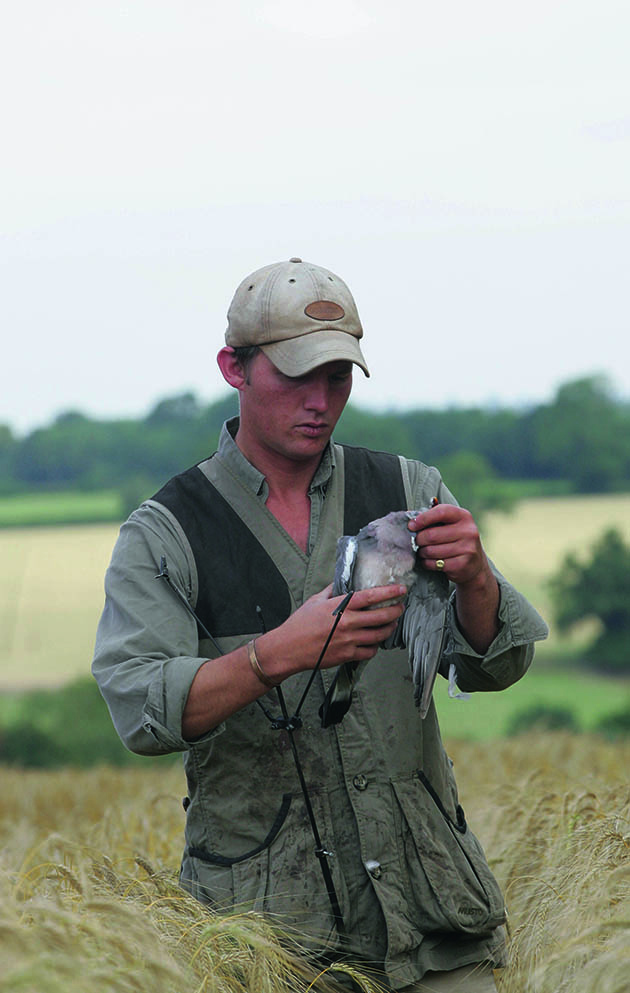 Pigeon Shooting technique