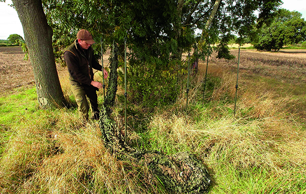pigeon shooting technique