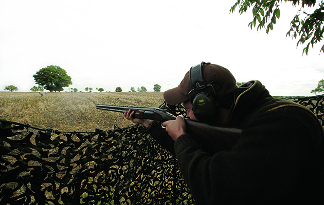 pigeon shooting technique