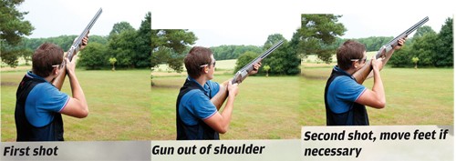 Pigeon shooting lesson: Pairs