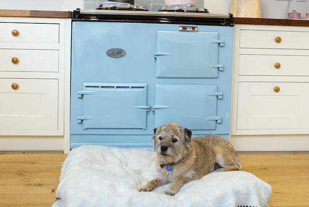 terrier in front of AGA
