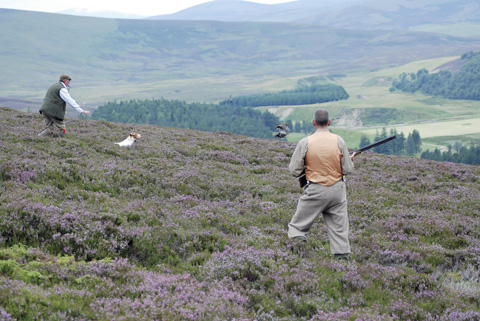 Grouse shooting the hard way