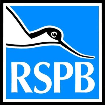 Court dismisses RSPB covert surveillance case as abuse of process