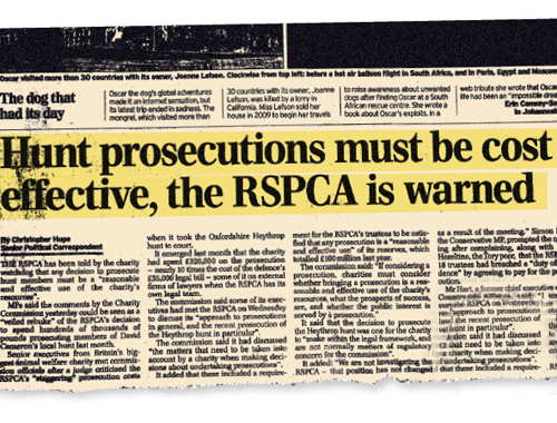 RSPCA lodges complaint over Daily Telegraph stories