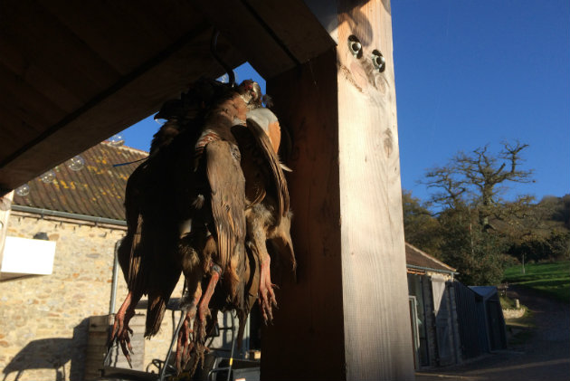 Practise on clays for the partridge season