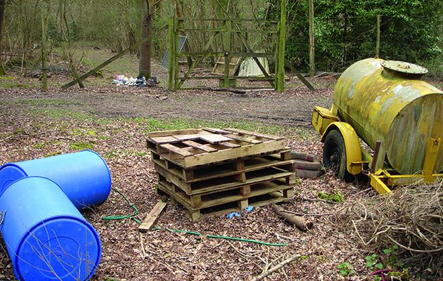 Pheasant pens