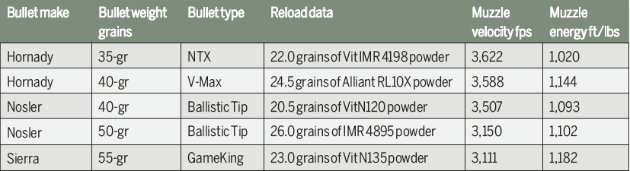 reloads-pg-29