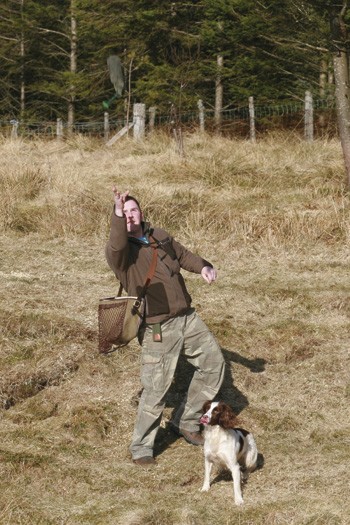 Why won&#8217;t my gundog hunt?
