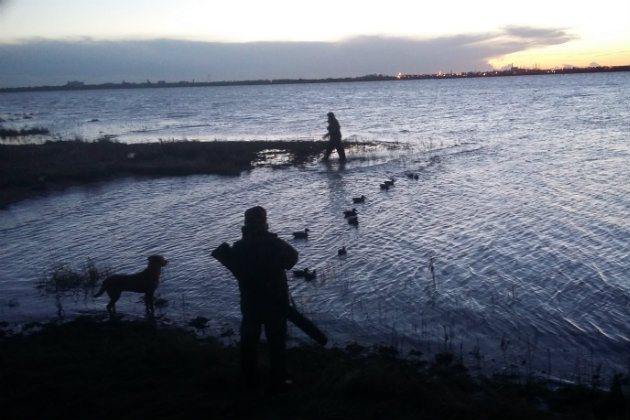 How easy is it to join a wildfowling club?