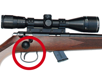 .22 lr rifle 