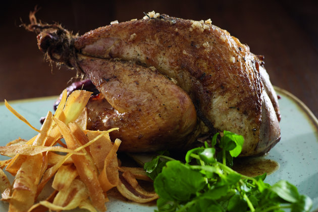 Roast pheasant &#8211; simply delicious