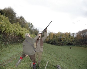 Game shooting at Stoke Edith, Herefordshire