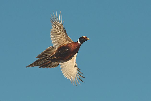 Why I&#8217;m becoming increasingly confident about the next shooting season