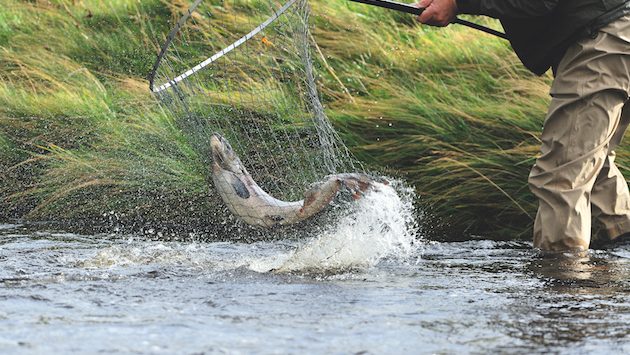Scotland&#8217;s most famous salmon fishing spots on sale for £5 million