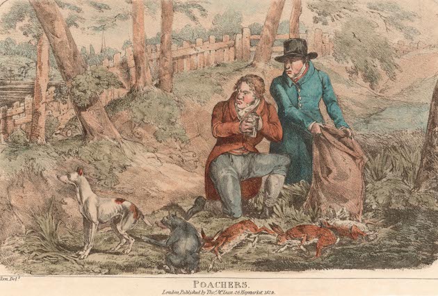 Why poaching has been part of rural life for centuries