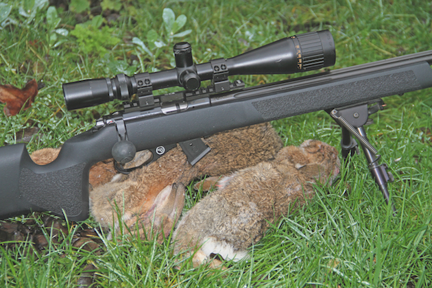 CZ 455 Mini Sniper .22 rimfire