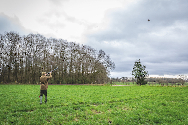 How to tackle January pheasants