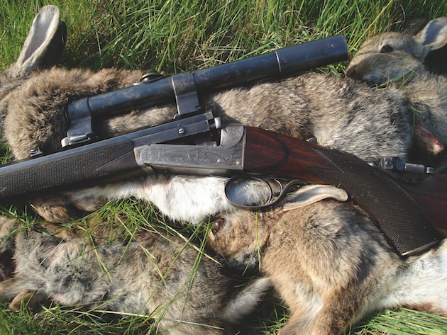 Rook rifles 