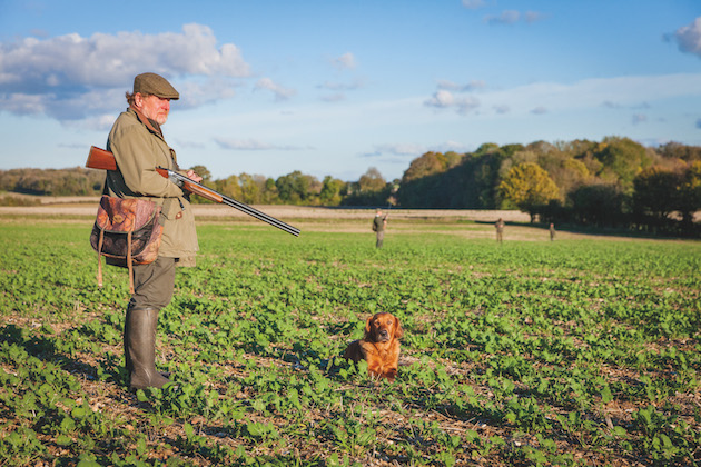 How to avoid 2021&#8217;s corvid control trap