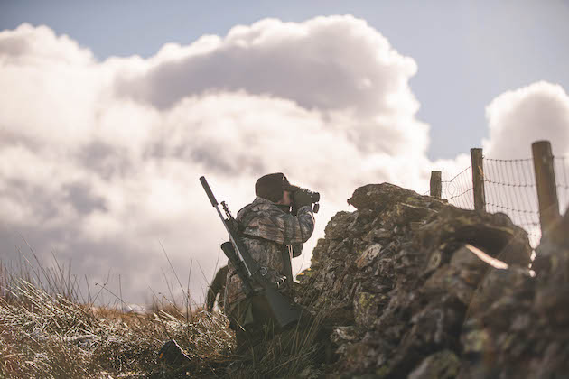 Cull before the storm
