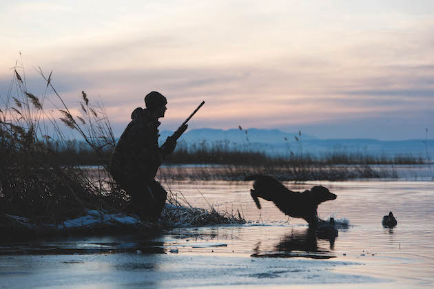 duck hunting