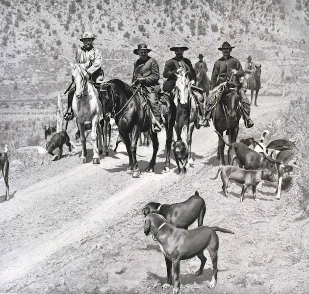 American hunters with dogs 