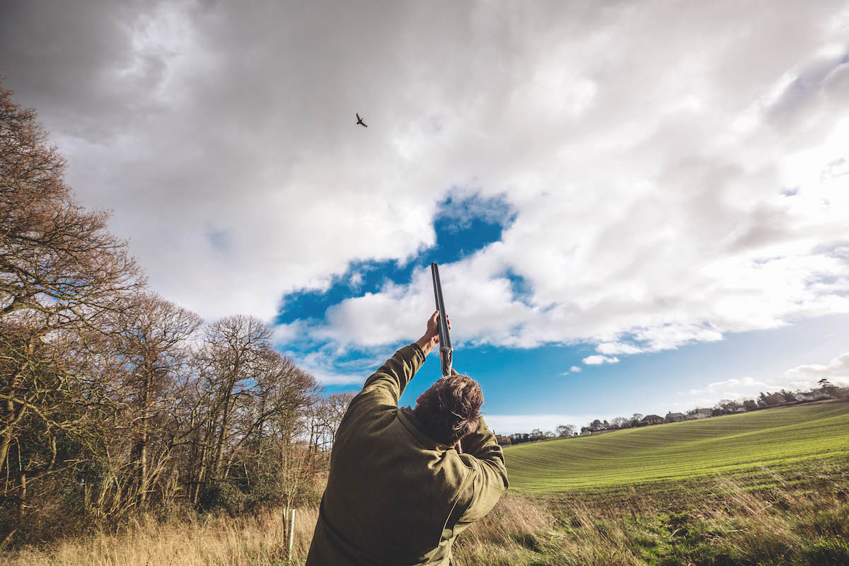 Pricking birds: how to reduce the risk