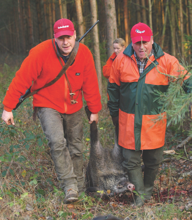 hunting wild boar