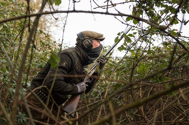 pigeon roost shooting