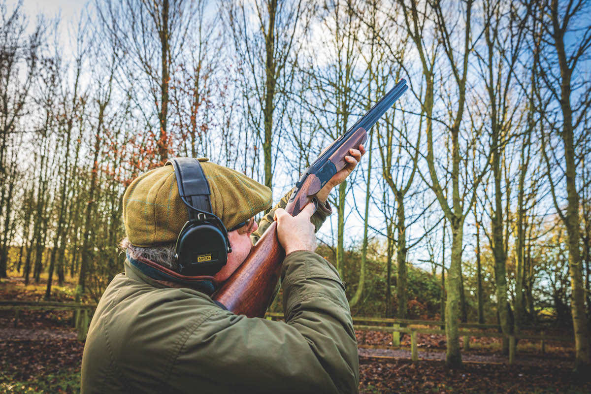 ATA game guns under £1000 