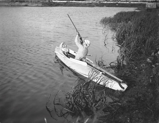 punt-gunning