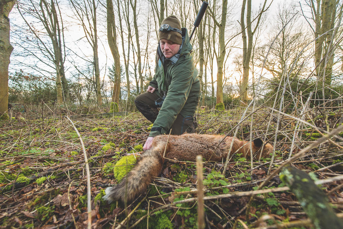 fox control 