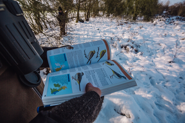 Big Farmland Bird Count 