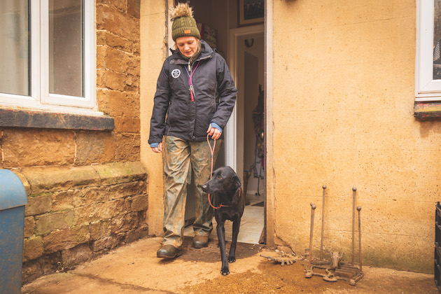 Day-to-day gundog training