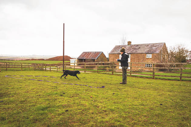 day-to-day gundog training 