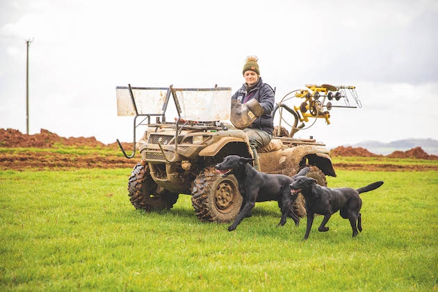 Labradors with quad bike 