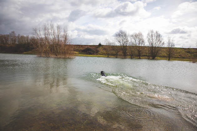 day-to-day gundog training swimming 