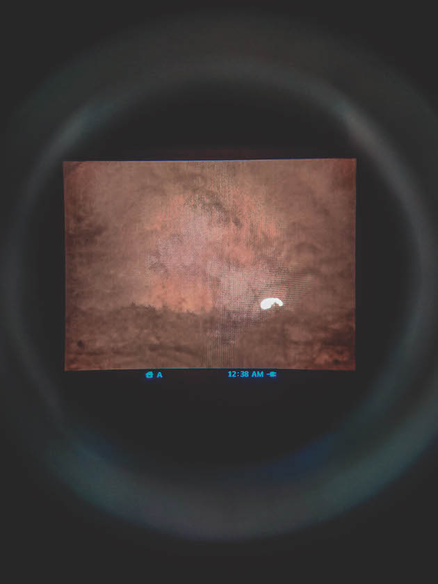 shooting rats with thermal imaging scopes
